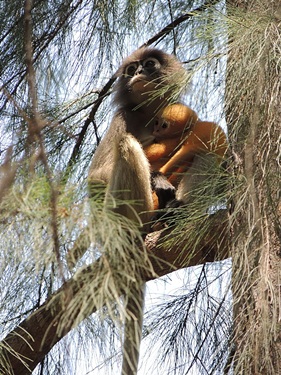 khao sam roi yot national park